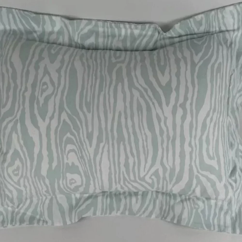 Biscuit Home Boudoir Light Blue Zebra Print Pillow Cover W Feather Insert